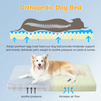 Washable Orthopedic Dog Bed for Large Dogs, XL Waterproof Pet Bed with Egg Crate Foam Strong Support, Machine Washable Cover & Anti-Slip Bottom & Durable Zipper (Gray)