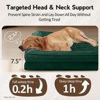 Large Dog Bed - Orthopedic Egg-Crate Memory Foam Dog Beds with Removable Washable Cover, Waterproof Pet Beds with Non-Slip Bottom(Green)