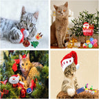 25 Pack Christmas Cat Toy, Kitten Toy Bag Set Assorted with Cat Spring Toy, Cat Ball Toy, Crinkle Cat Toy, Mouse for Cats Interactive Play