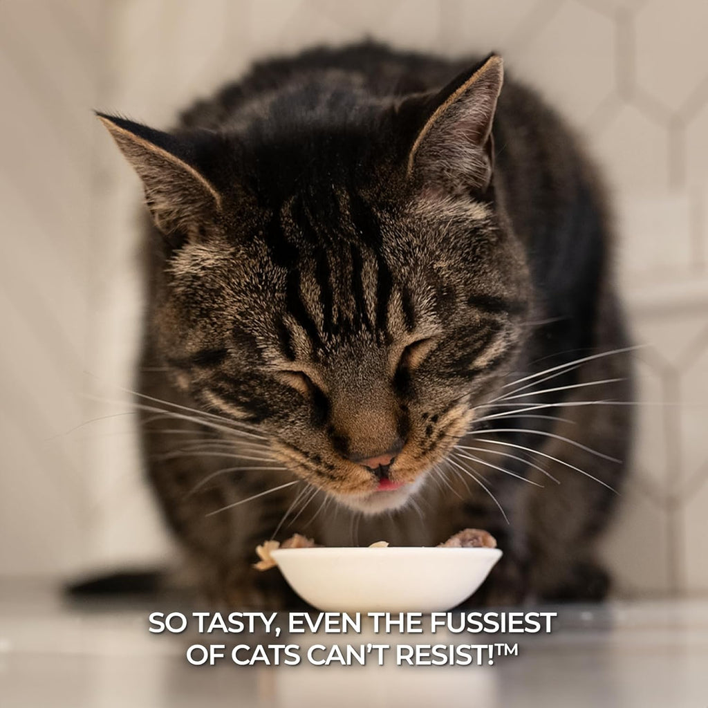 Premium Tuna with Chicken in Aspic Grain-Free Wet Cat Food - 2.82oz Cans - Case of 24 Cans (Tuna with Chicken in Aspic)