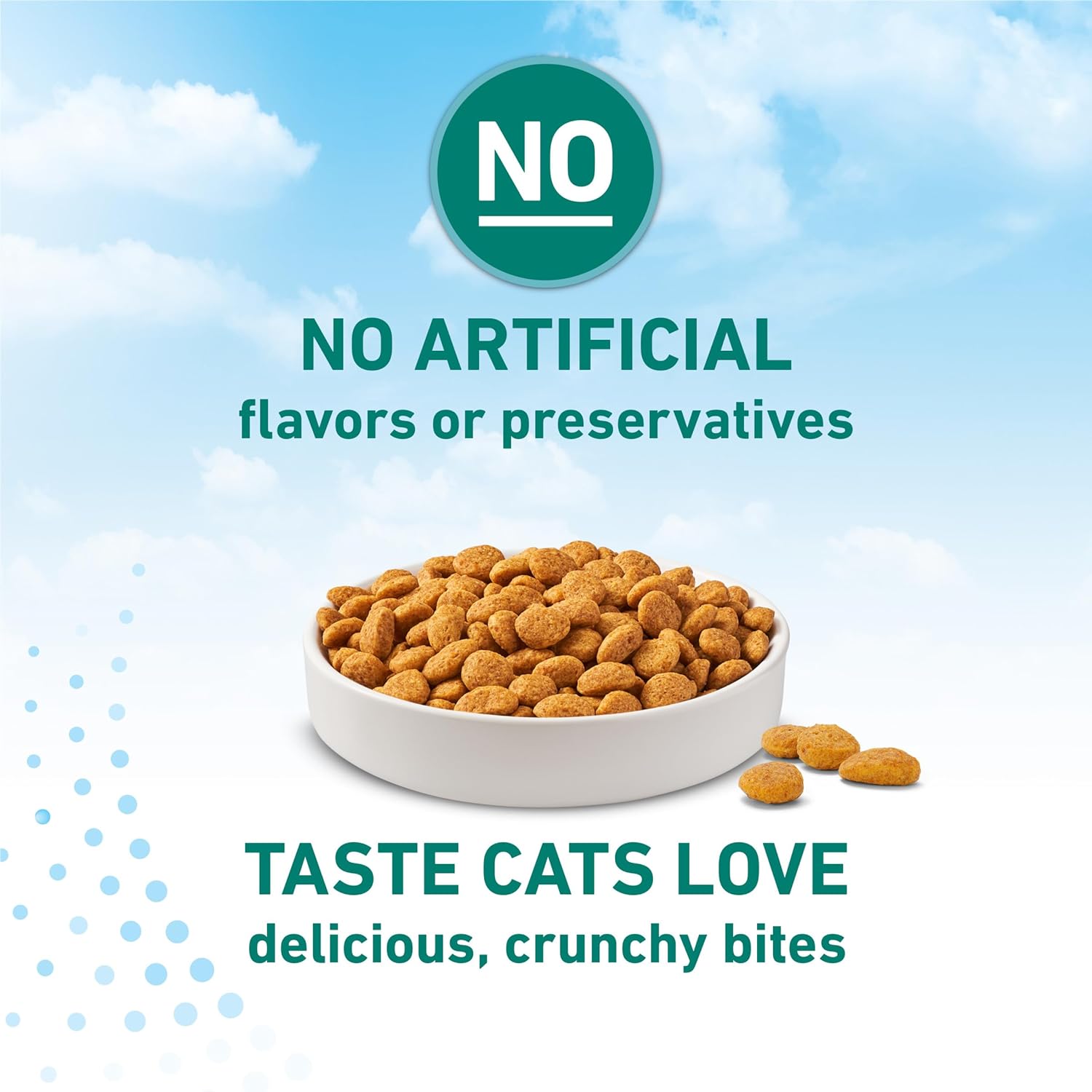 LiveClear Allergen-Reducing Cat Food Dry Formula with Real Chicken As The Number One Ingredient - 3 lb. Bag