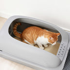 Stainless Steel Cat Litter Box with Lid, Large Cat Litter Box for Big Cats, High Wall Sides, Anti-Urine Leakage, Easy Cleaning, Scoop and Mat Included,light Grey