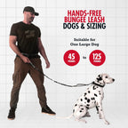 Heavy Duty Hands Free Dog Leash | One Large Dog Up to 125 lbs | Comfortable Shock Absorbing Bungee | Reflective Padded Handles | Lumbar Waist Belt 26-38" | Walking Jogging Running Leash
