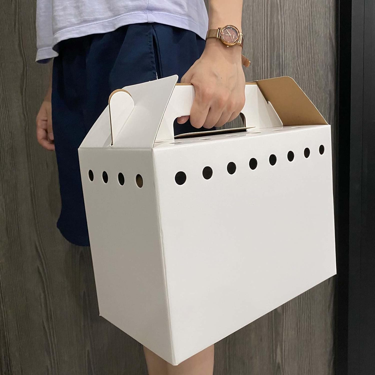 Cardboard Pet Carriers for Small Animals, Hamsters, Gerbils, Birds, Reptiles, Not for Cats or Dogs, Disposable Cardboard Pet Carrier 12 Pack