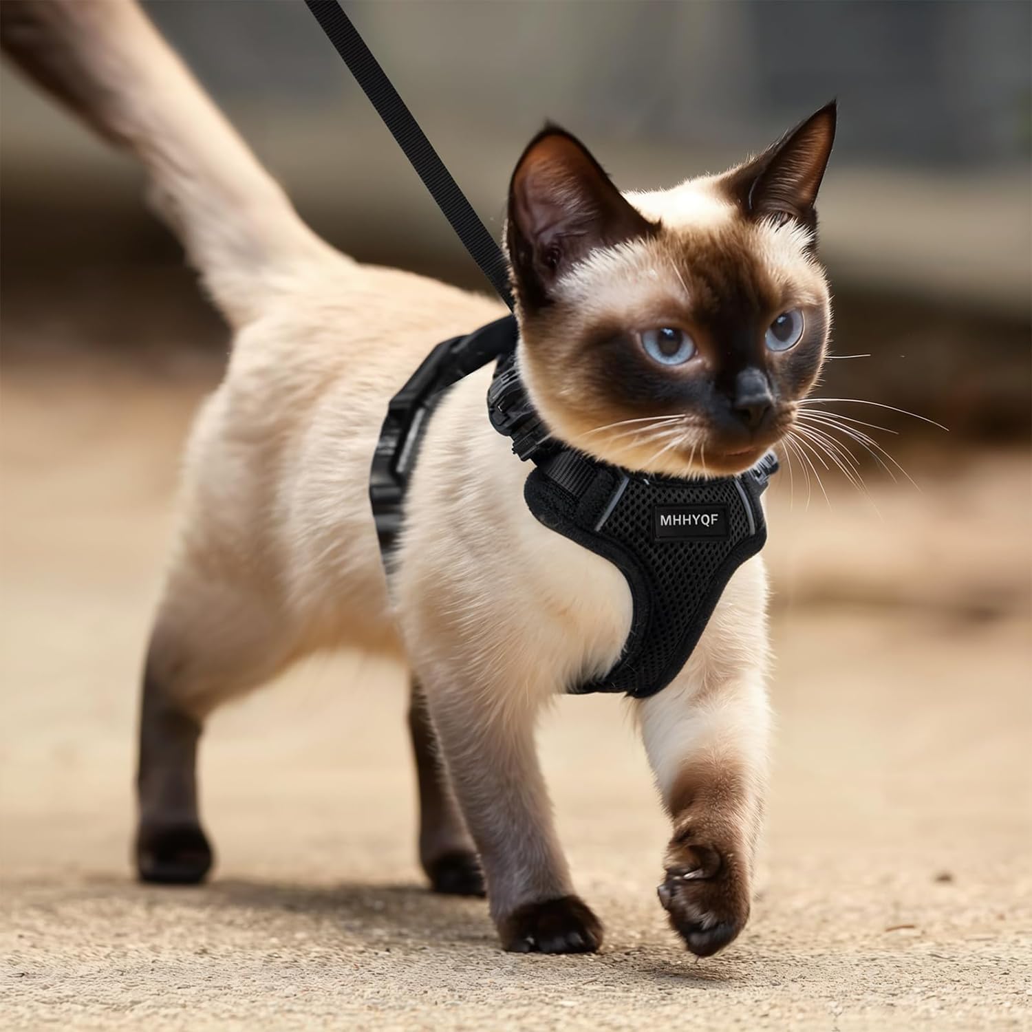 Cat Harness and Leash for Walking, Cat Car Harness, Escape Proof Soft Adjustable Vest Harnesses for Cats, Easy Control Breathable Reflective Strips Harness, Kitten Harness and Leash Set