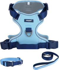 Reflective Dog Harness, Leash & Collar Set (Blue)