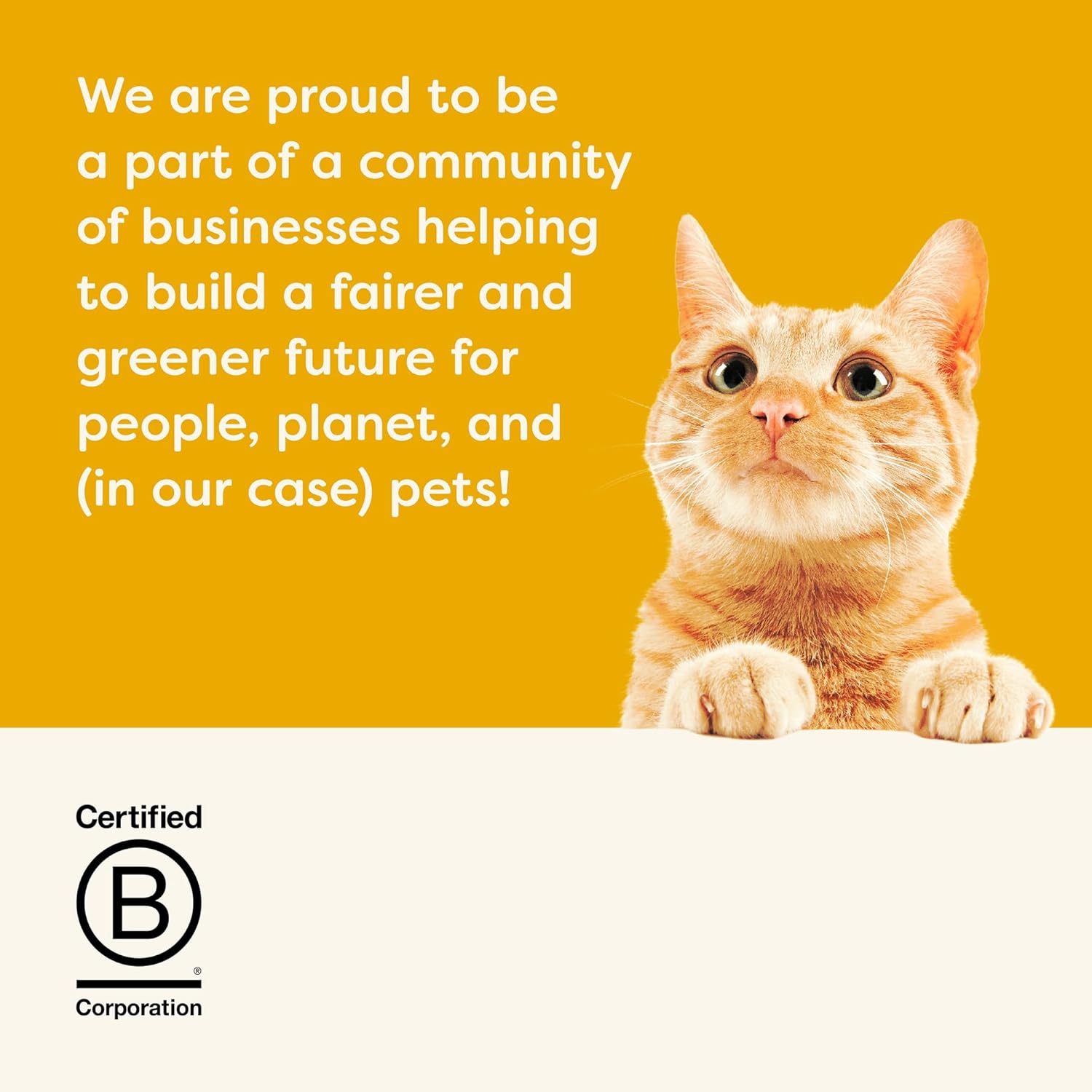 Complete Dry Kitten Food, Grain-Free, Limited and Natural Ingredients, Added Vitamins & Minerals, High Protein, Supports Digestion, Chicken Recipe (4 Pound Bag)