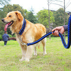 Dog Collar and Leash Set, Heavy Duty Nylon Braided Rope Strong 4 FT Dog Leash and Martingale Training Collar for Small Medium Large Dogs Training and Walking (Blue & Black)