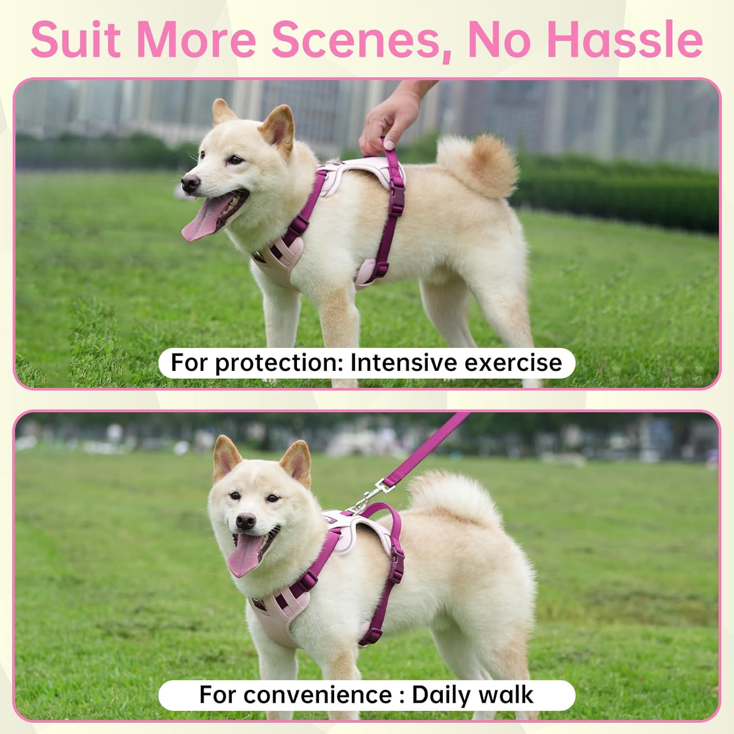 Reflective Dog Harness, Leash & Collar Set (Pink)
