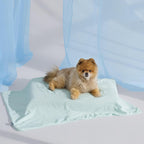 Cooling Blanket for Small Dogs with Breathable Air-Core Fill Q-MAX>0.4 - Dog Cooling Mat Soft, Lightweight Pet Cat Throw Cold Blanket Washable for Summer, Pale Jade, 25x35
