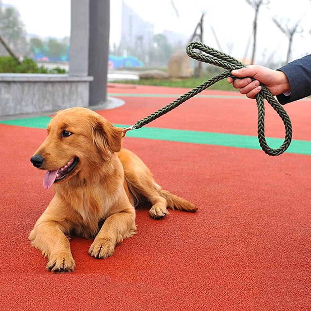 Dog Collar and Leash Set, Heavy Duty Nylon Braided Rope Strong 4 FT Dog Leash and Martingale Training Collar for Small Medium Large Dogs Training and Walking