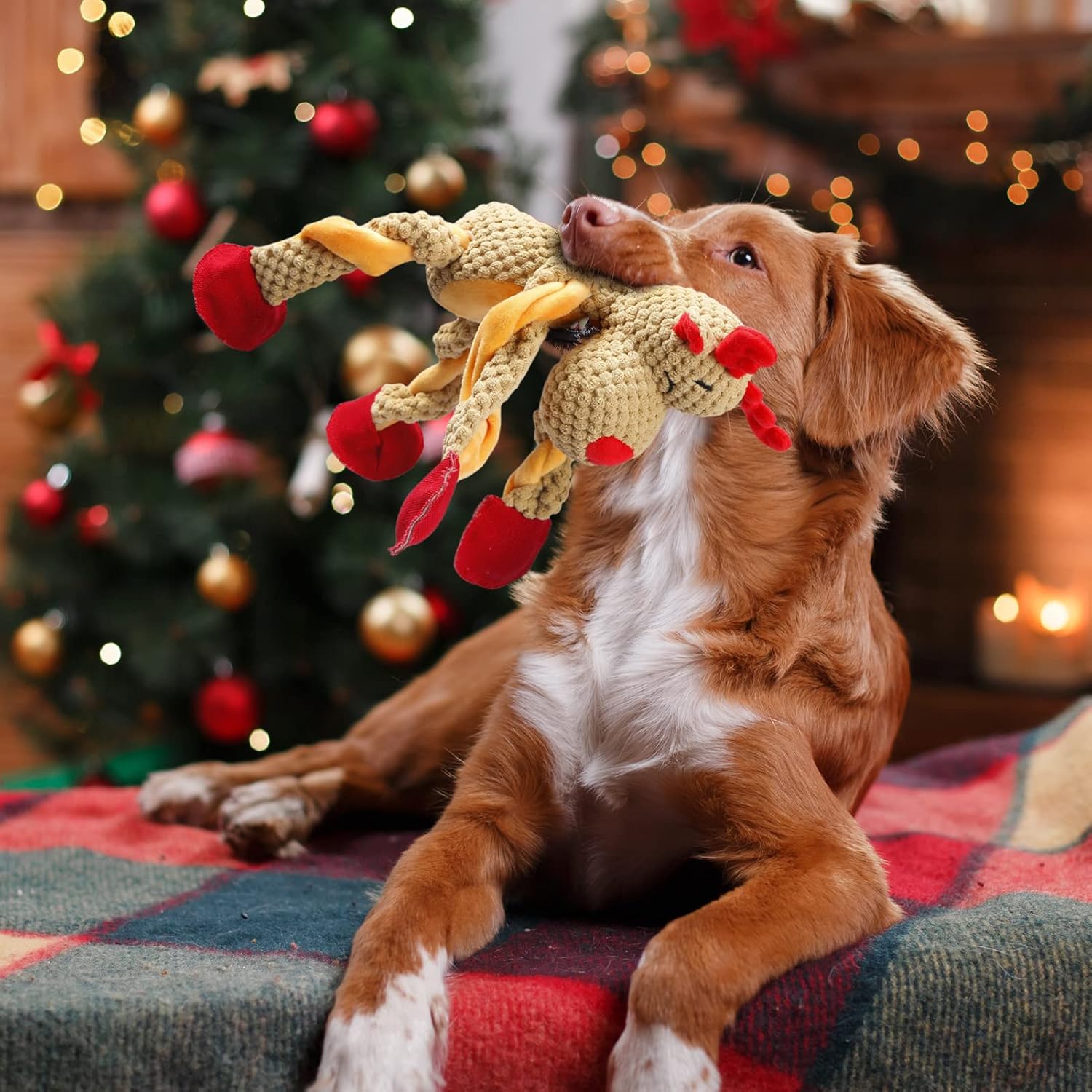 Christmas Dog Toys, Squeaky Snowman Plush with Ropes for Tug of War, Durable Interactive Chew Toys for Puppy Small Medium Large Dogs