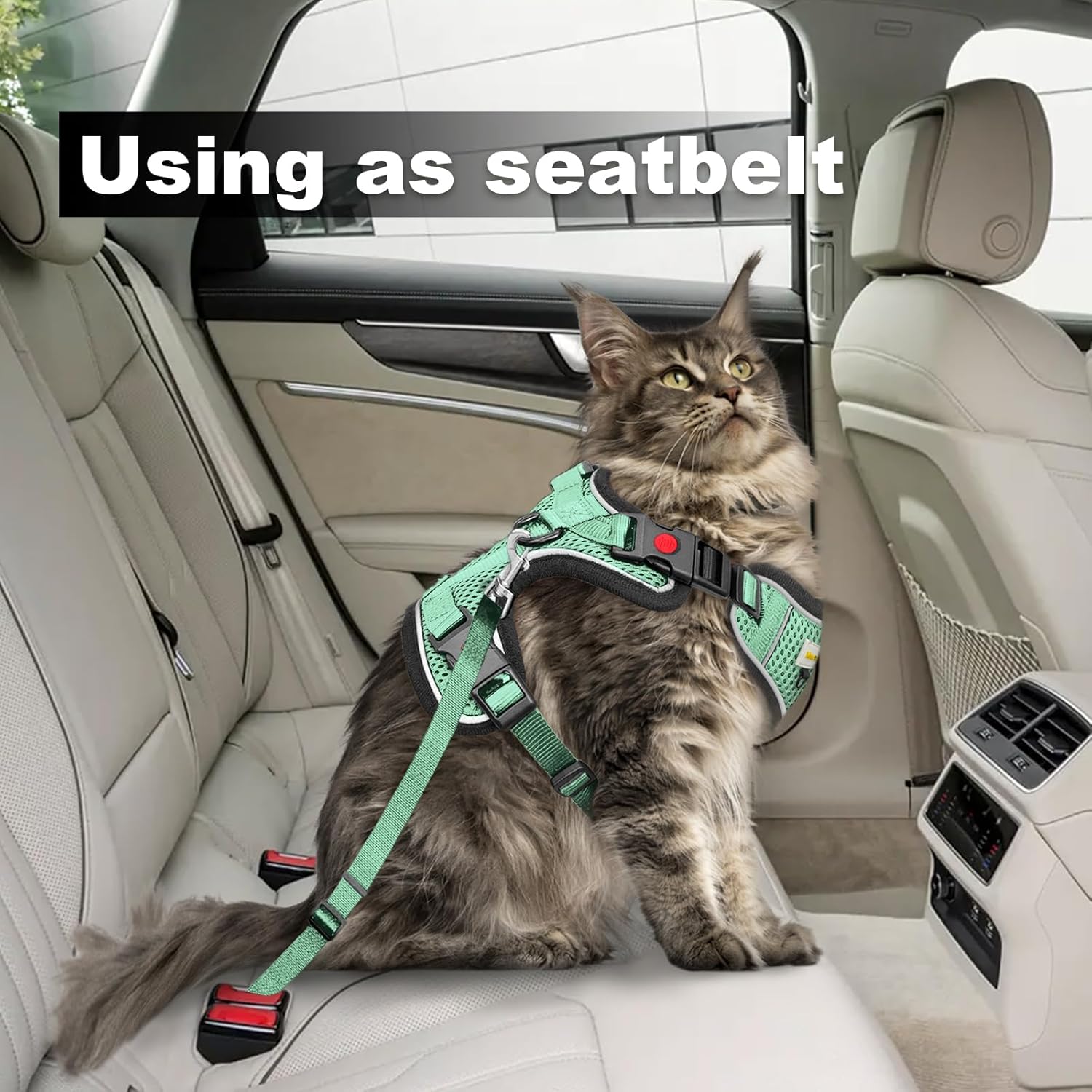 Cat Harness and Leash for Walking, Retractable Cat Harnesses and Leash Set Escape Proof, Breathable Soft Kitten Small Large Harness for Travel Training and Walking