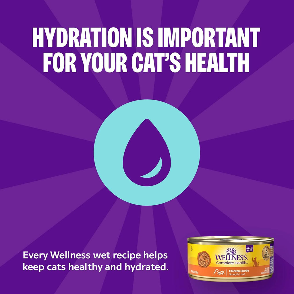 Health Pate Adult Wet Cat Food, Natural, Protein-Rich, Grain Free, 3 Ounce, 24 Pack,(Beef & Salmon)
