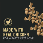 Vital Systems Chicken and Egg Formula 4-in-1 Adult Dry Cat Food - 3 lb. Bag