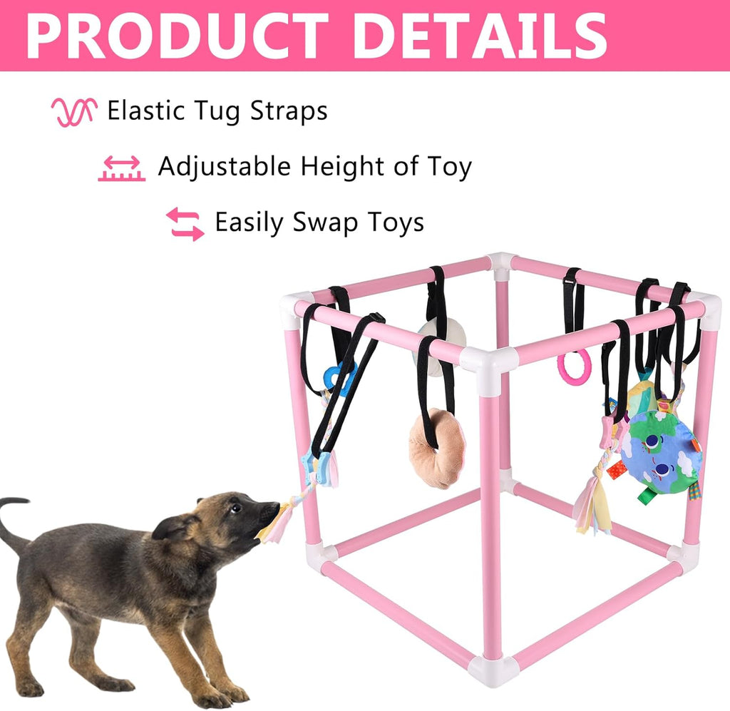 Puppy Play Gym with 10 Hanging Toys for Small Dogs Indoor Jungle Playground PVC Frame with Interactive Funny Enrichment Toys Dogs Activity Center Durable, Lightweight