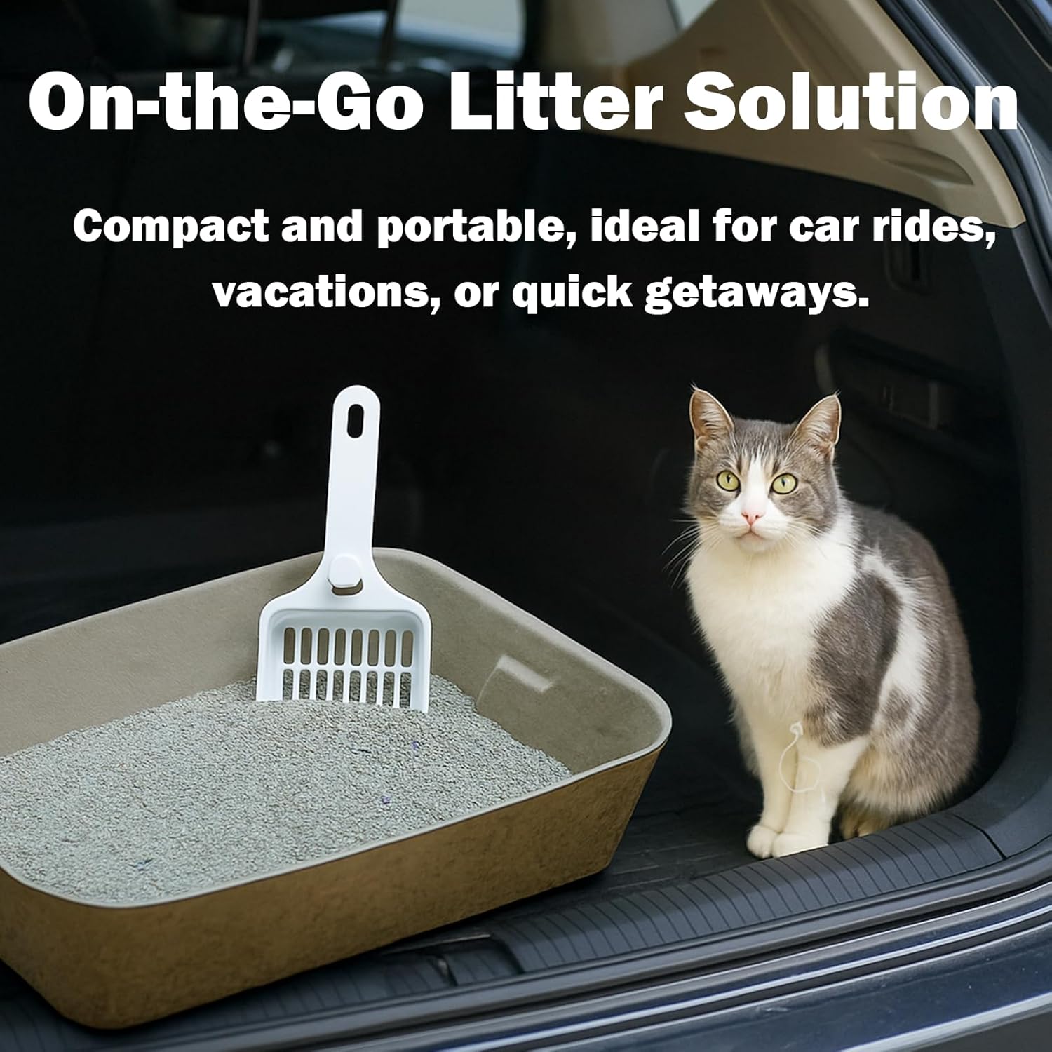 Disposable Litter Boxes for Cats, 6 Pack Cat Litter Trays for Travel, Temporary Use, or Liner – Leak-Proof, Eco-Friendly, Easy Clean-Up