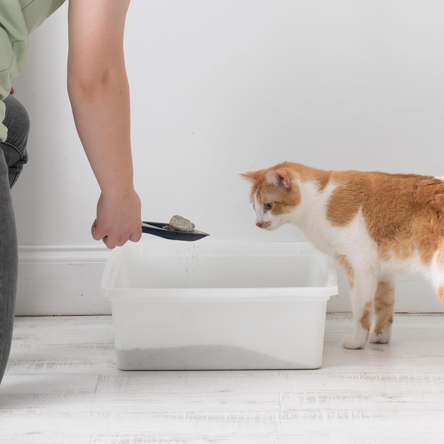 Large Open Top Cat Litter Box, Kitty Litter Pan, Pearl