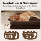 Large Dog Bed - Orthopedic Egg-Crate Memory Foam Dog Beds with Removable Washable Cover, Waterproof Pet Beds with Non-Slip Bottom, (Brown)