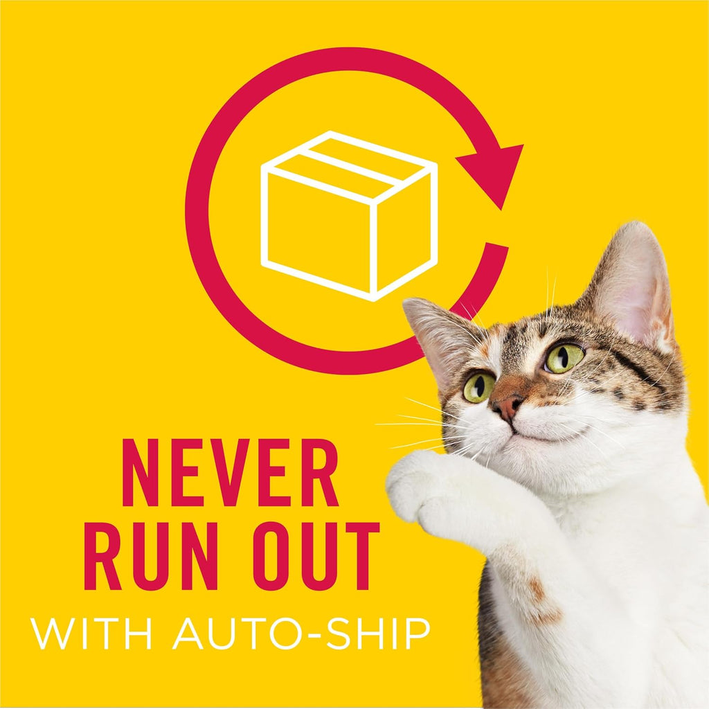 Dry Cat Food, Surfin' & Turfin' Favorites - 16 lb. Bag