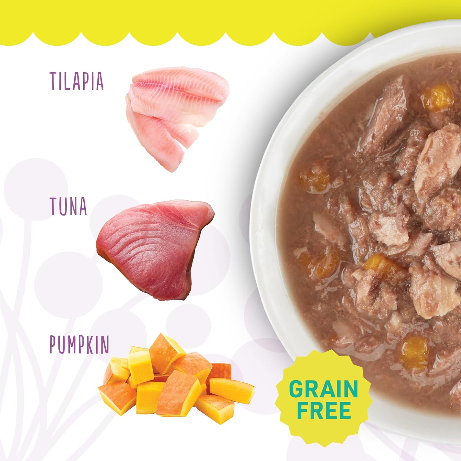 Whole Foods Wet Cat Food, Tuna, Pumpkin & Tilapia Entree in Broth, 2.8 oz. Can (24 Count)
