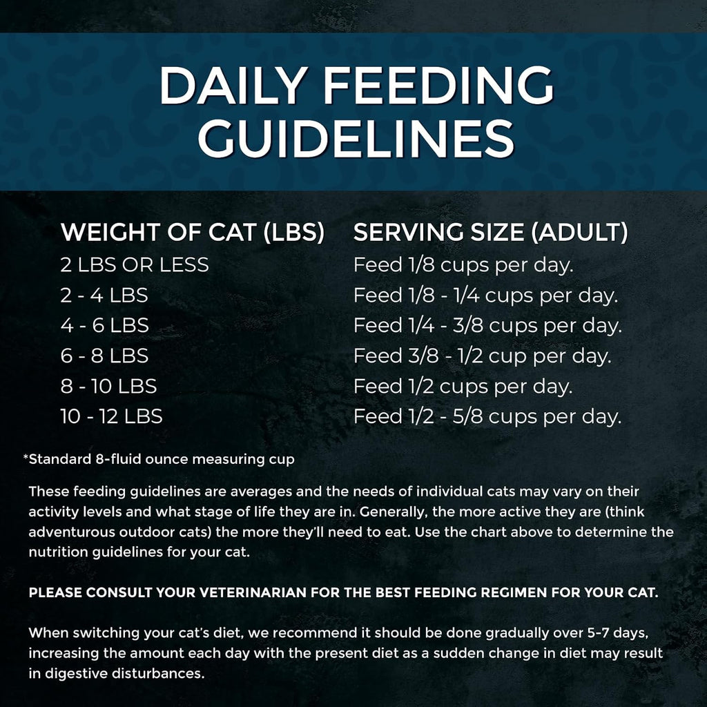 Cat Market Fresh Salmon Recipe,Dry Cat Food, 10lb Bag