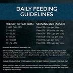 Cat Market Fresh Salmon Recipe,Dry Cat Food, 10lb Bag