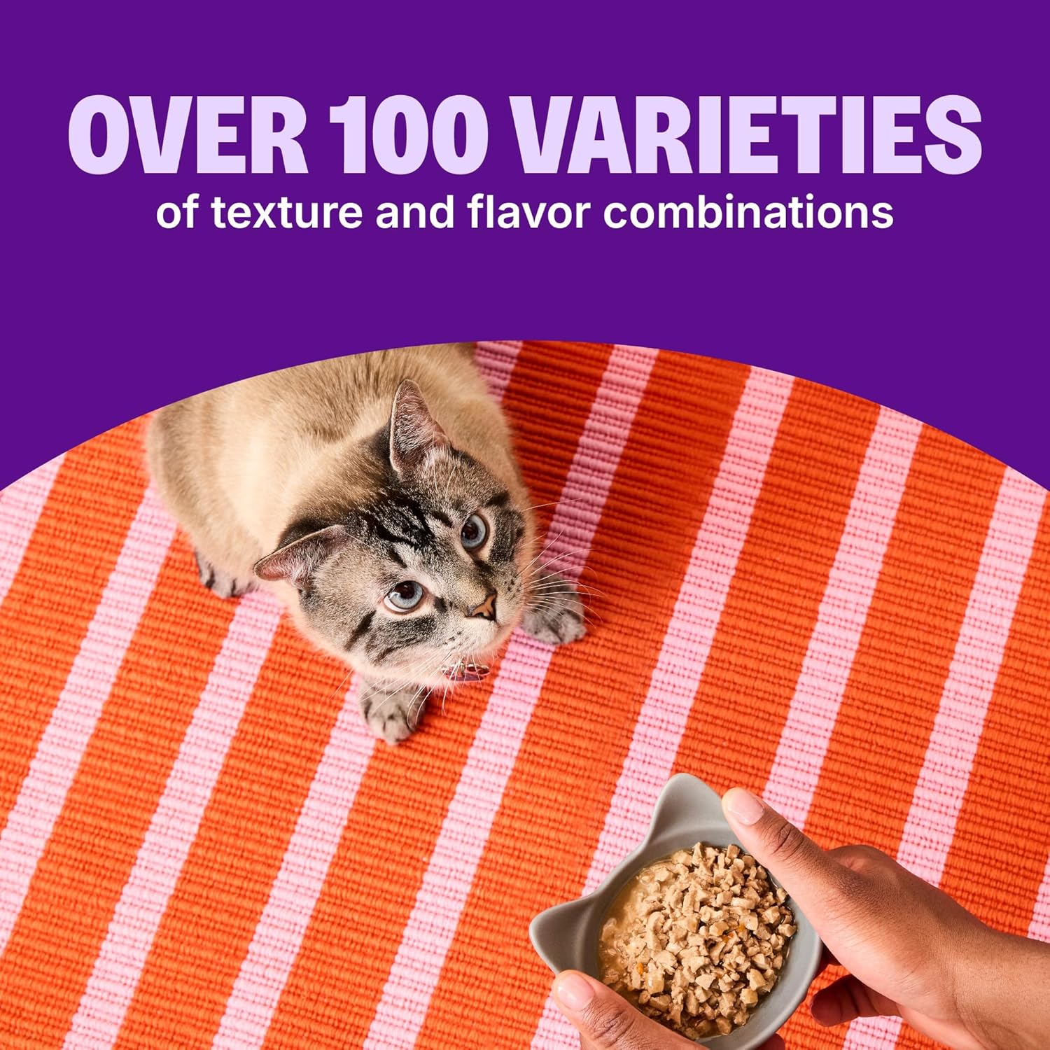 Signature Selects Shredded Adult Wet Cat Food, Natural, Protein-Rich, Grain Free, 2.8 Ounce, 8 Pack (Poultry Variety Pack)