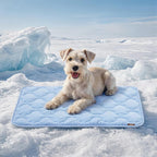 Cooling Mat for Medium Dogs, Q-Max>0.5 Thin Breathable Crate Pad for Pet, Portable Washable Kennel Bed for Summer Active Dog with Chill Cool Soothing Fabric to Rapid Cooling, 29x18, Blue