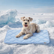 Cooling Mat for Medium Dogs, Q-Max>0.5 Thin Breathable Crate Pad for Pet, Portable Washable Kennel Bed for Summer Active Dog with Chill Cool Soothing Fabric to Rapid Cooling, 29x18, Blue
