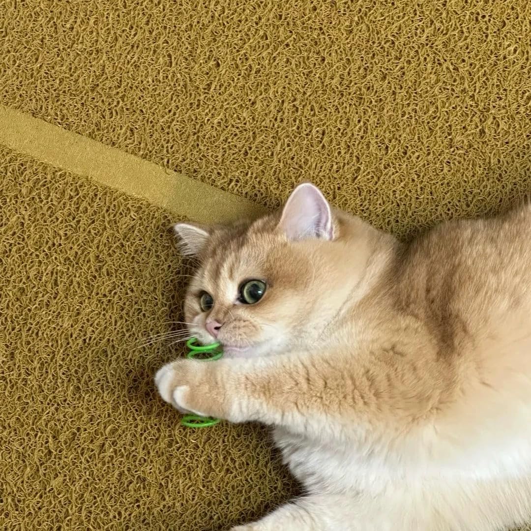 Cat Spring Toys - 5 Color Bundle | Durable Plastic Interactive Toy for Indoor Kittens to Hunt, Bite, Self-Play(10Pcs)