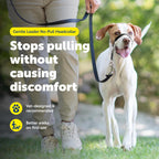 Gentle Leader Headcollar No-Pull Dog Collar - Helps Improve Walks - Durable Nylon Construction - Padded Nose Loop - Adjustable Fit - Comfort Walking Halter - Medium, Black