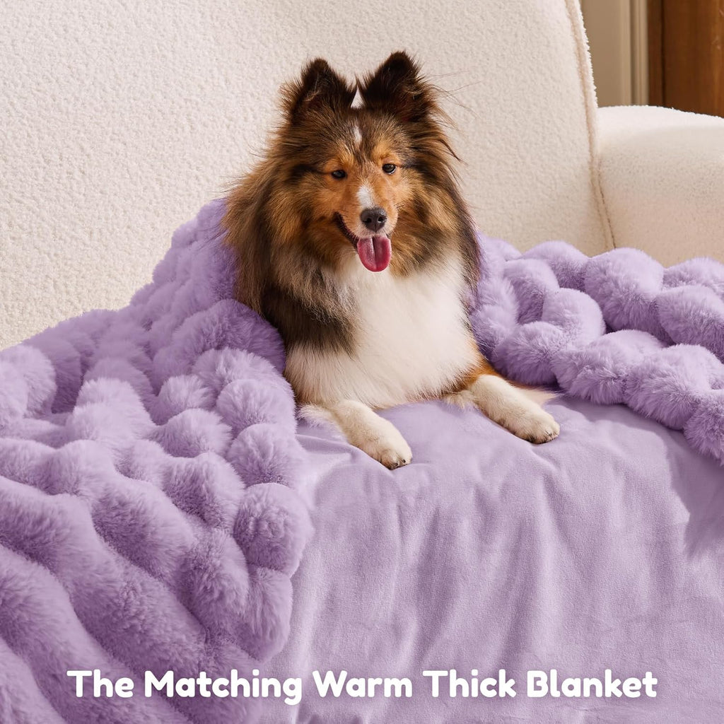 Human Dog Bed for Adult - Luxury Striped Faux Fur Giant Dog Bed with Portable Handle, Egg Orthopedic Foam Pad with Thick Blanket,, Purple