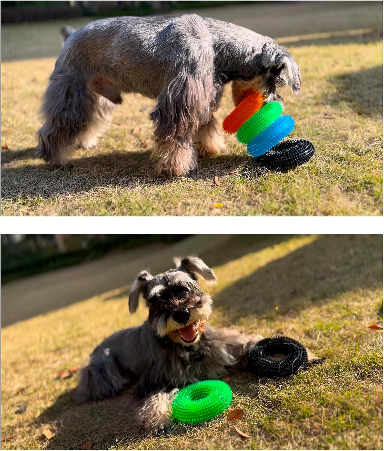 Dog Squeaky Chew Toys for Aggressive Chewers, Small Medium Large Dogs Teeth Cleaning Soft Natural Rubber Float Toy for Indoor Outdoor Water Pool, Donut Ring Design 4.92 inch, Crystal Blue Crystal Green