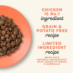 Complete Dry Cat Food, Grain-Free, Limited Ingredient with Added Vitamins & Minerals, Protein, Supports Digestion, Chicken & Turkey (4 Pound Bag)