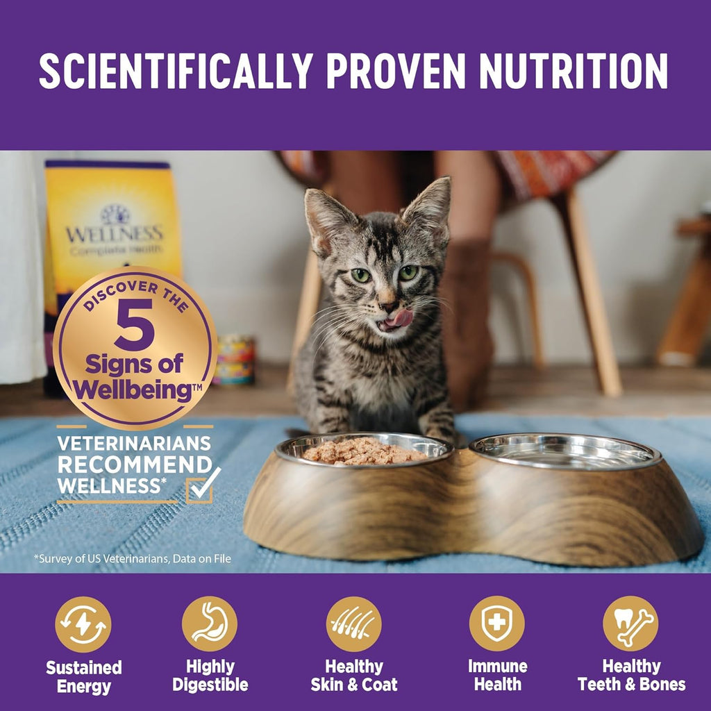 Health Pate Adult Wet Cat Food, Natural, Protein-Rich, Grain Free, 3 Ounce, 24 Pack, Chicken & Lobster