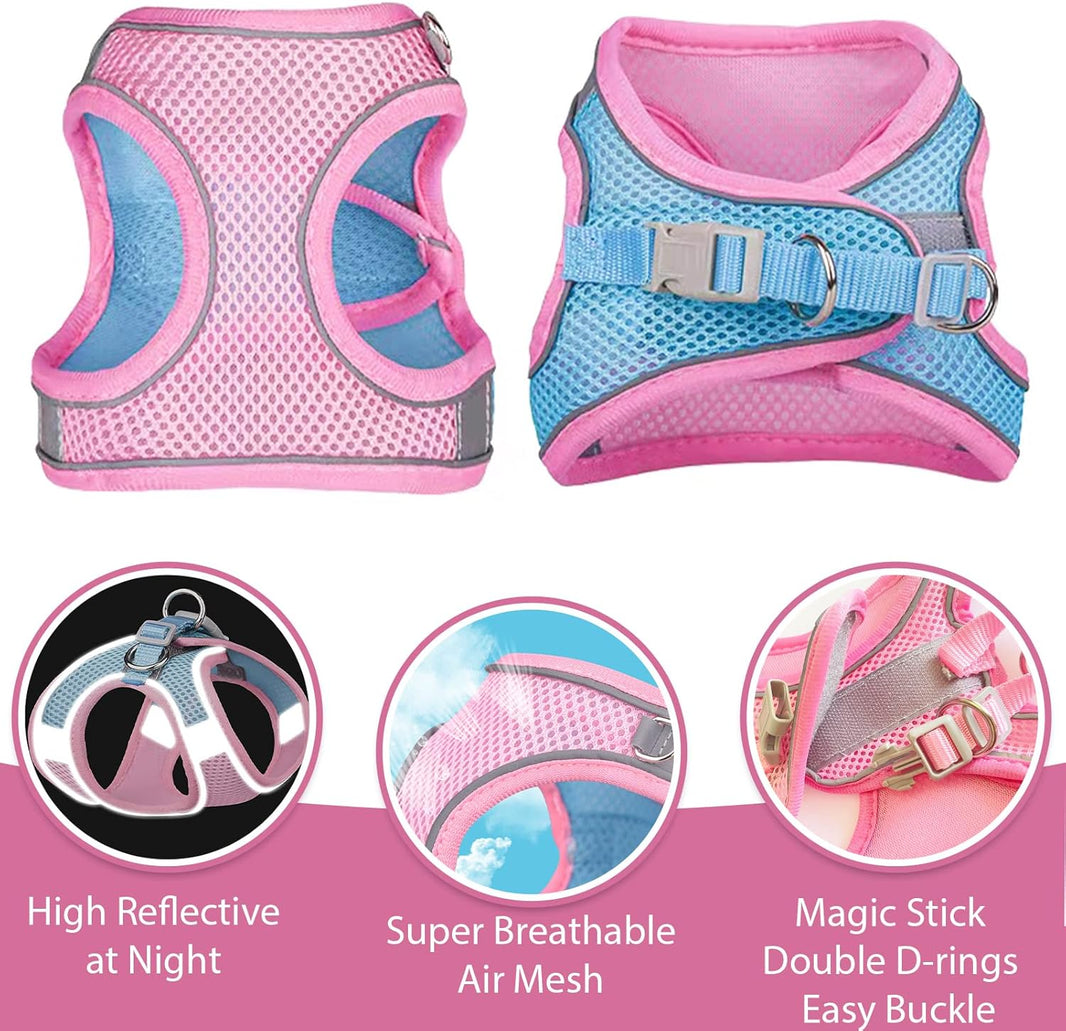 Mesh Dog Harness & Leash Set for Small Dogs
