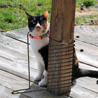 Extra Long Cat Leash for Yard, Lightweight Outdoor Cat Leash Long Light Extension, Long Thin Lead for Rabbits, Kitten, Puppy and Small Animals