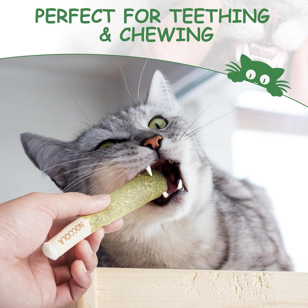 Organic Catnip Kicker Toys (3-Pack)