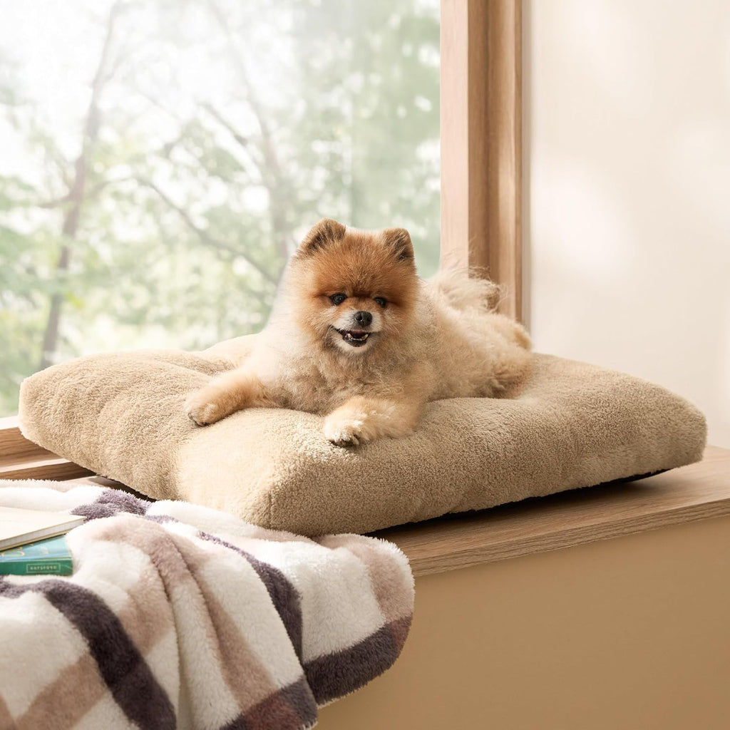 Small Dog Bed for Crate Washable, Comfort Fluffy Plush Pillow Bed Crate Pad, Non-Slip and Machine Washable Kennel Pet Sleeping Mat for Puppy/Cat,, Brown Visit the Bedsure Store
