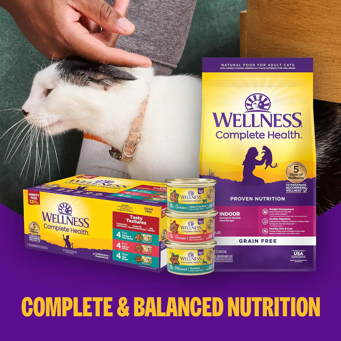 Complete Health Pate Adult Wet Cat Food, Natural, Protein-Rich, Grain Free, 3 Ounce, 24 Pack, (Beef & Chicken)