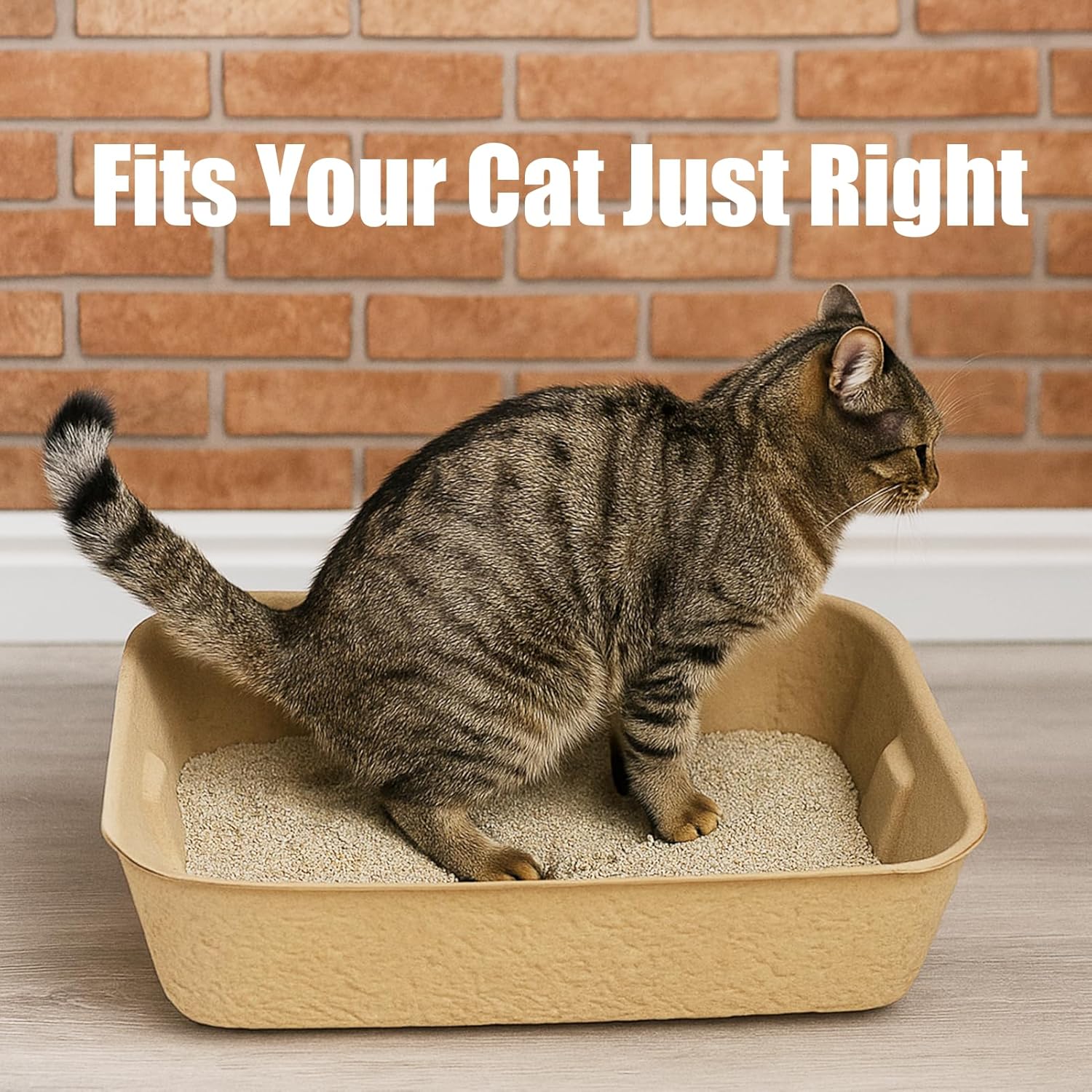 Disposable Litter Boxes for Cats, 6 Pack Cat Litter Trays for Travel, Temporary Use, or Liner – Leak-Proof, Eco-Friendly, Easy Clean-Up