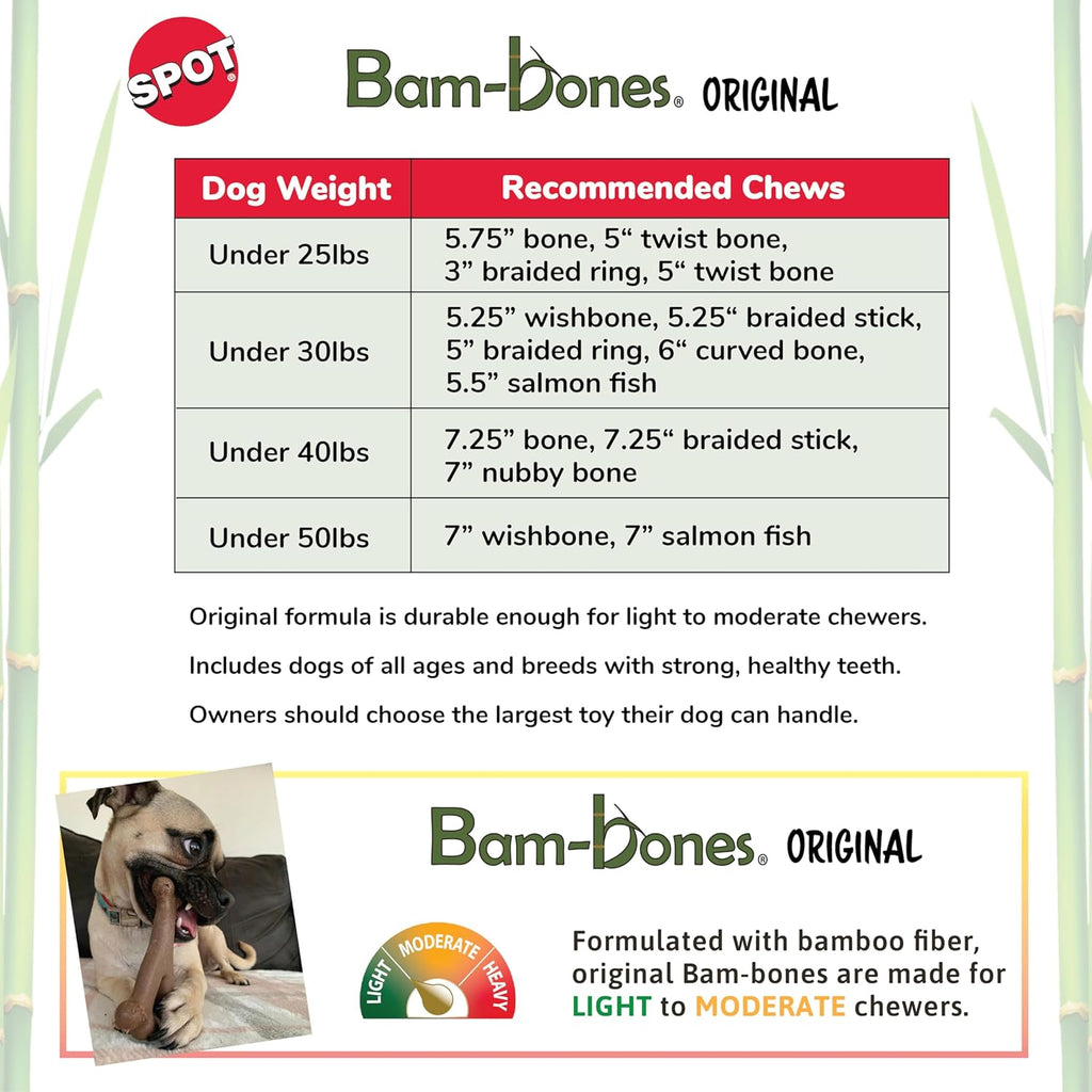 Bone - Made with Strong Bamboo Fiber, Durable Long Lasting Dog Chew for Light to Moderate Chewers, Great Toy for Adult Dogs & Teething Puppies Under 25lbs, 5.75in, Bacon Flavor