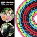 2 Pack Dog Leash, 4/5//6 FT Heavy Duty Nylon Rope Pet Leashes with Comfortable Padded Handle, Reflective Dog Leashes for Small Medium and Large Dogs
