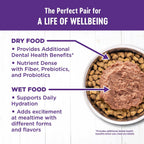 Complete Health Adult Dry Cat Food for Indoor Cats, Grain Free, Natural, Chicken & Chicken Meal
