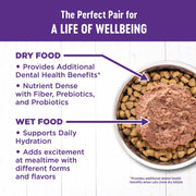 Complete Health Pate Adult Wet Cat Food, Natural, Protein-Rich, Grain Free, 3 Ounce, 24 Pack, (Beef & Chicken)