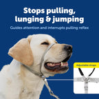 Gentle Leader Headcollar No-Pull Dog Collar - Helps Improve Walks - Durable Nylon Construction - Padded Nose Loop - Adjustable Fit - Comfort Walking Halter - Medium, Black