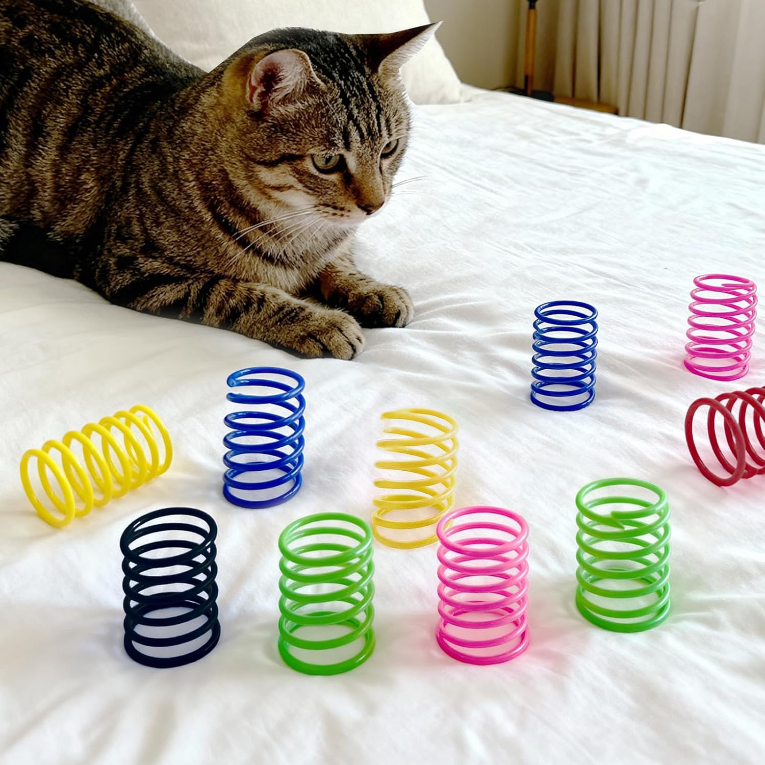6Colors Plastic Spring Cat Toys, 60 Pack Spiral Springs for Indoor Cats to Swat, Bite, Hunt, Interactive Toys for Cats and Kittens