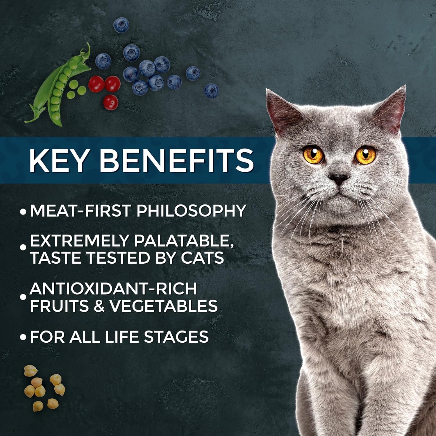 Cat Market Fresh Salmon Recipe,Dry Cat Food, 10lb Bag