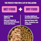 Health Pate Adult Wet Cat Food, Natural, Protein-Rich, Grain Free, 3 Ounce, 24 Pack,  (Turkey)